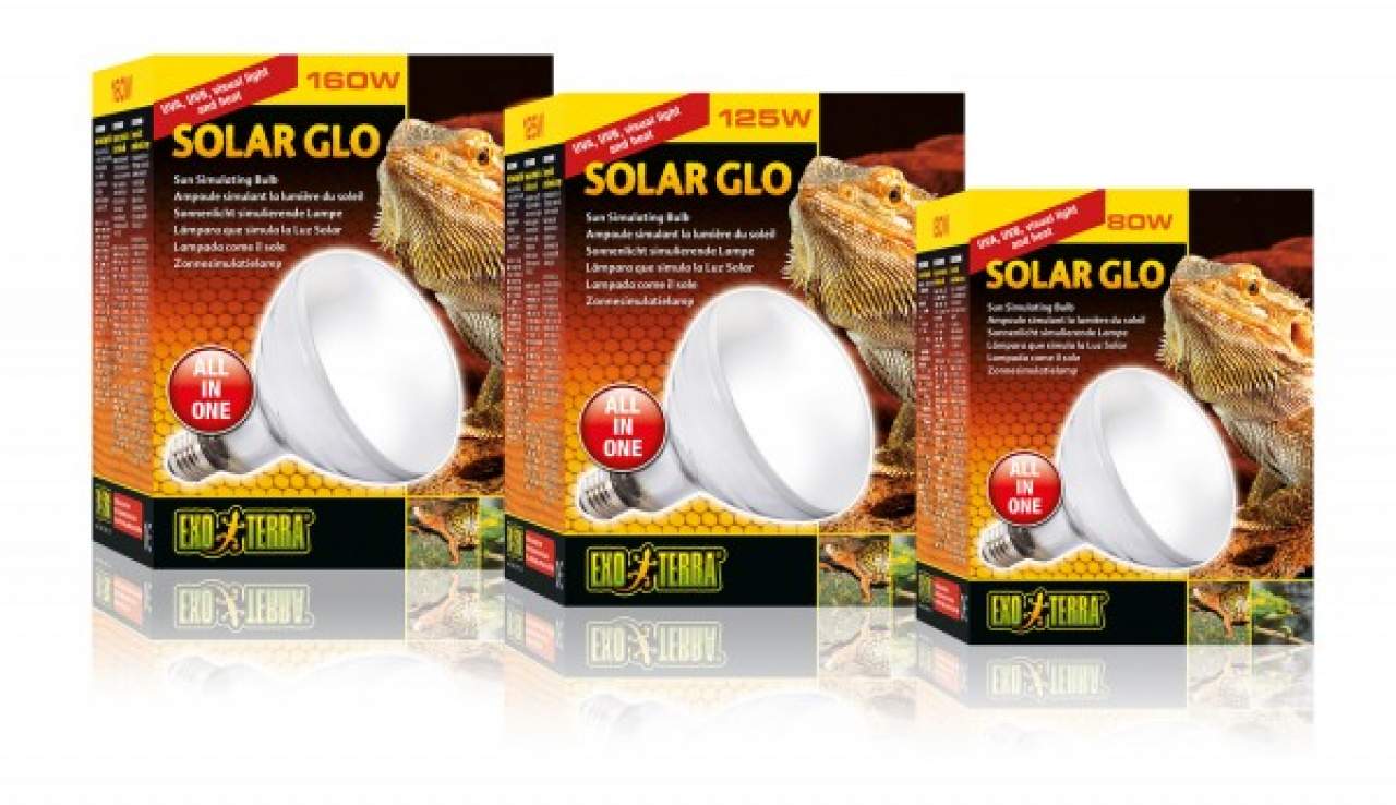 Exo Terra Solar Glo